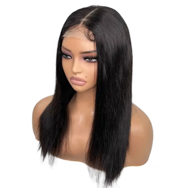 Sleek wholesale 2x6 lace closure wig on a model.